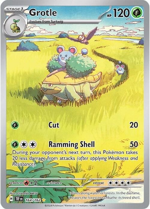 Pokemon Temporal Forces Grotle 164/162 Illustration Rare Holofoil Card - stylecreep.com